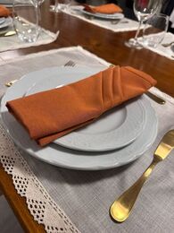 GUARDANAPO TERRACOTA